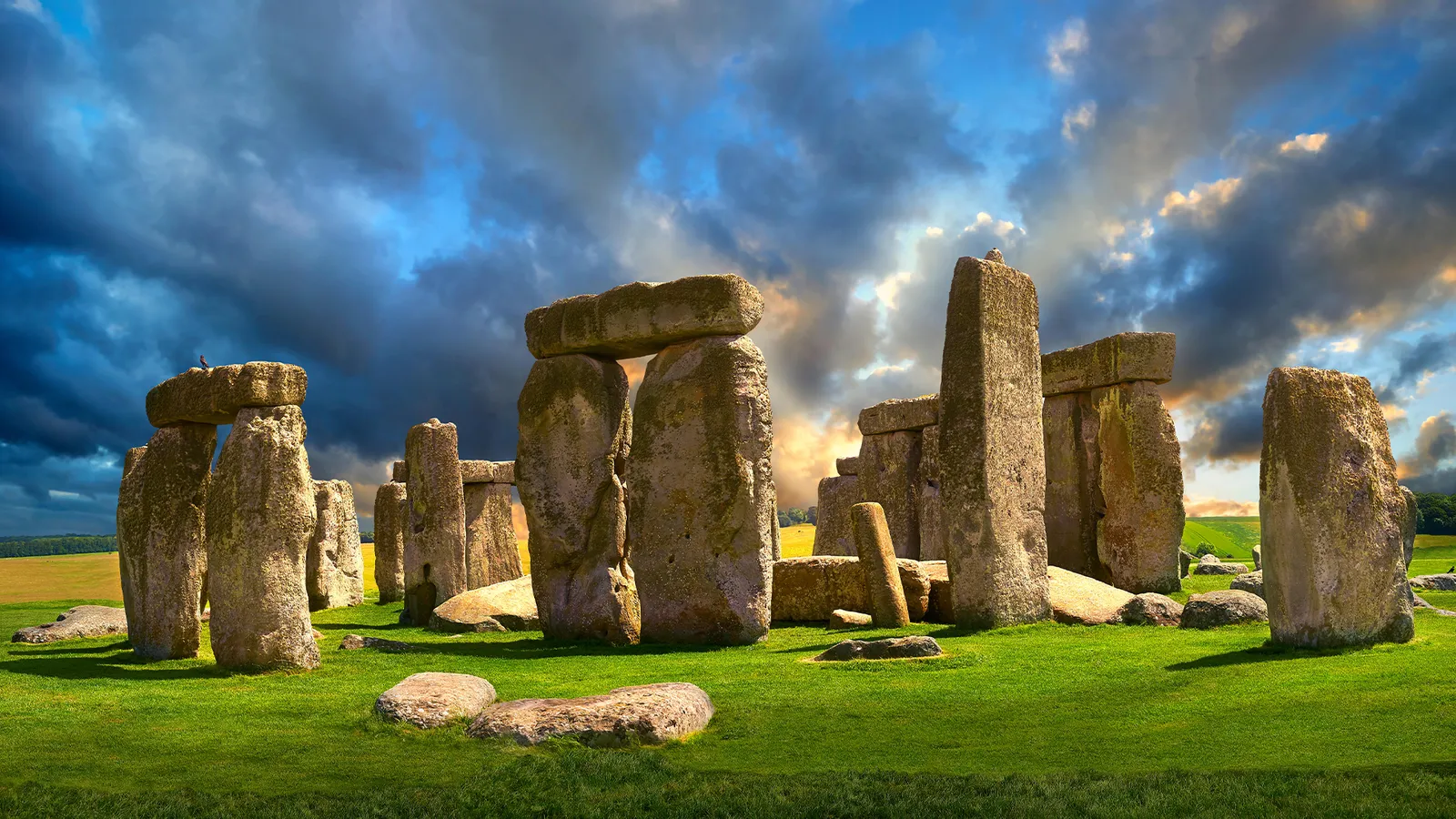 Image credit: funkyfood London - Paul Williams/Alamy